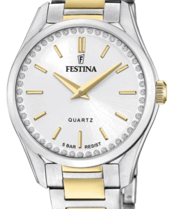 Hodinky FESTINA 20619/1 - Farba: strieborná