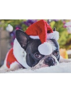 Vianočná rohožka Psík